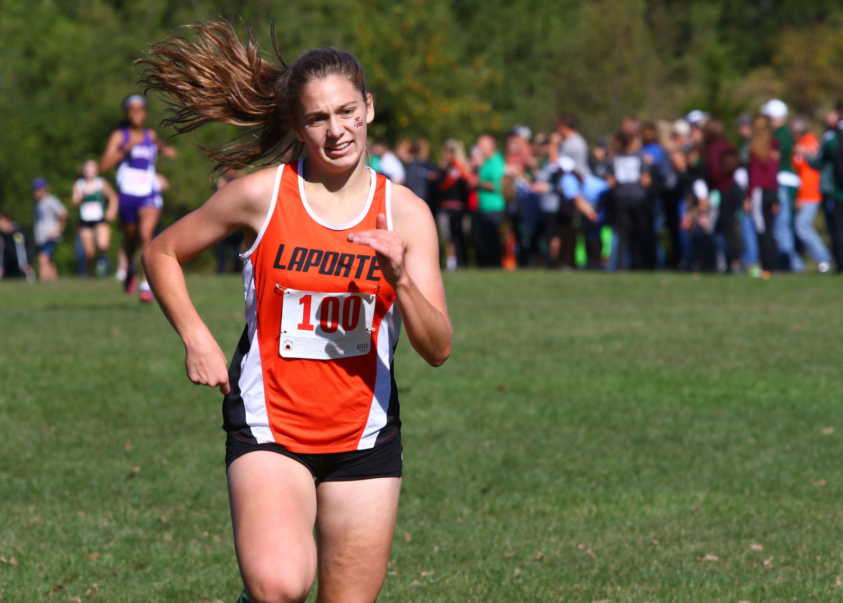 Duneland Athletic Conference cross country meet